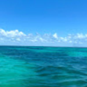 Meet your Posher, Faith